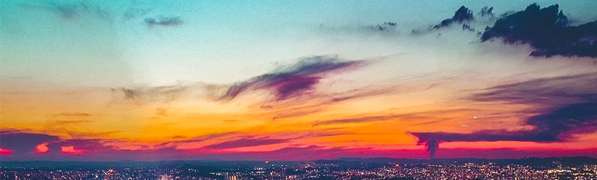 灯塔茶虫网_灯塔品茶